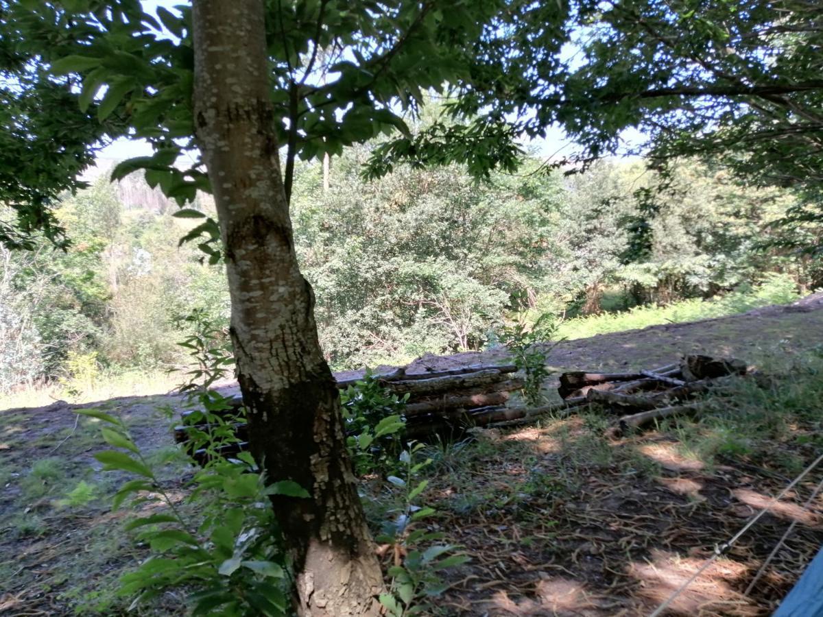 La Finca - Campamento En La Naturaleza Carranceja المظهر الخارجي الصورة
