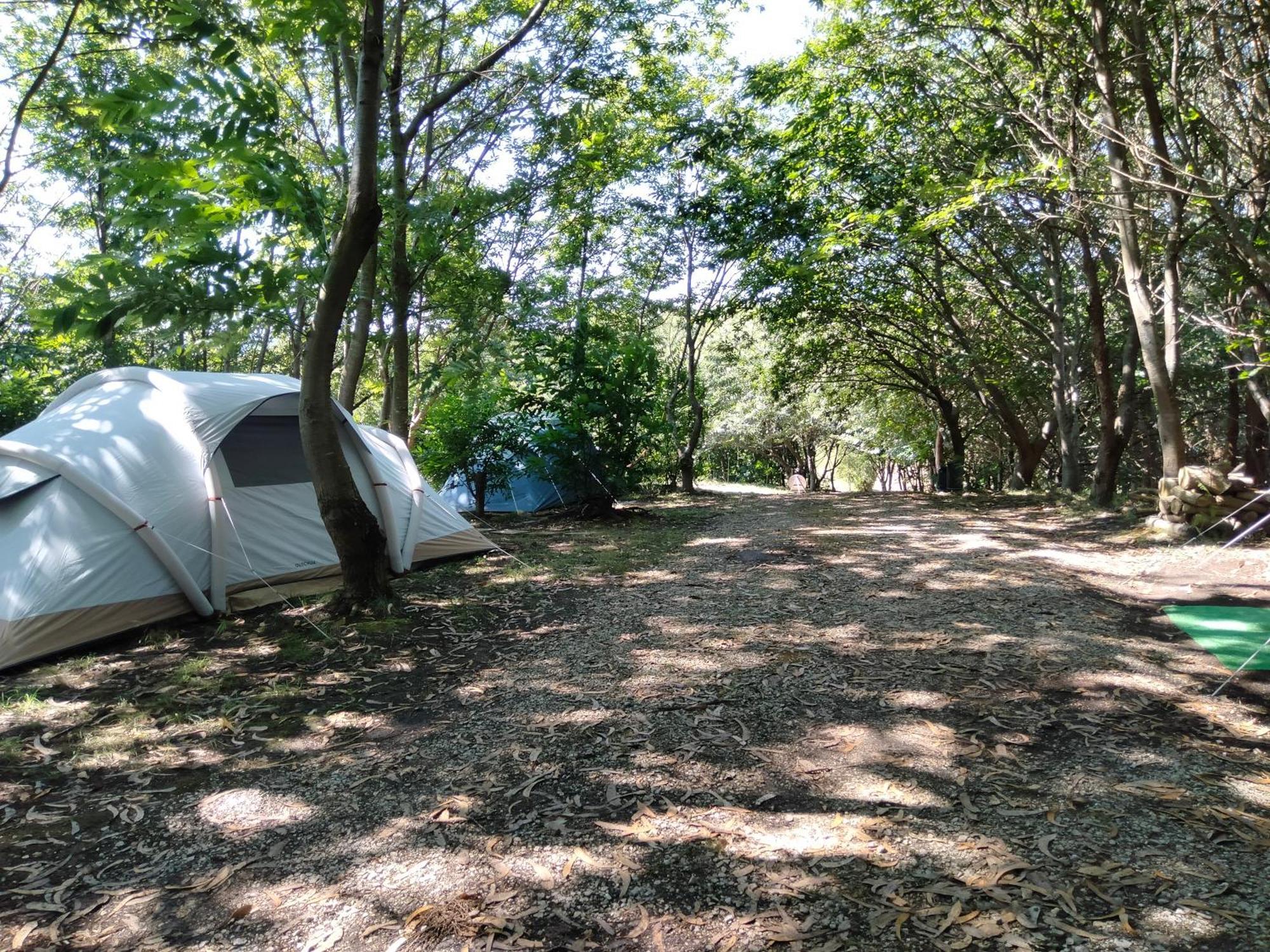 La Finca - Campamento En La Naturaleza Carranceja المظهر الخارجي الصورة