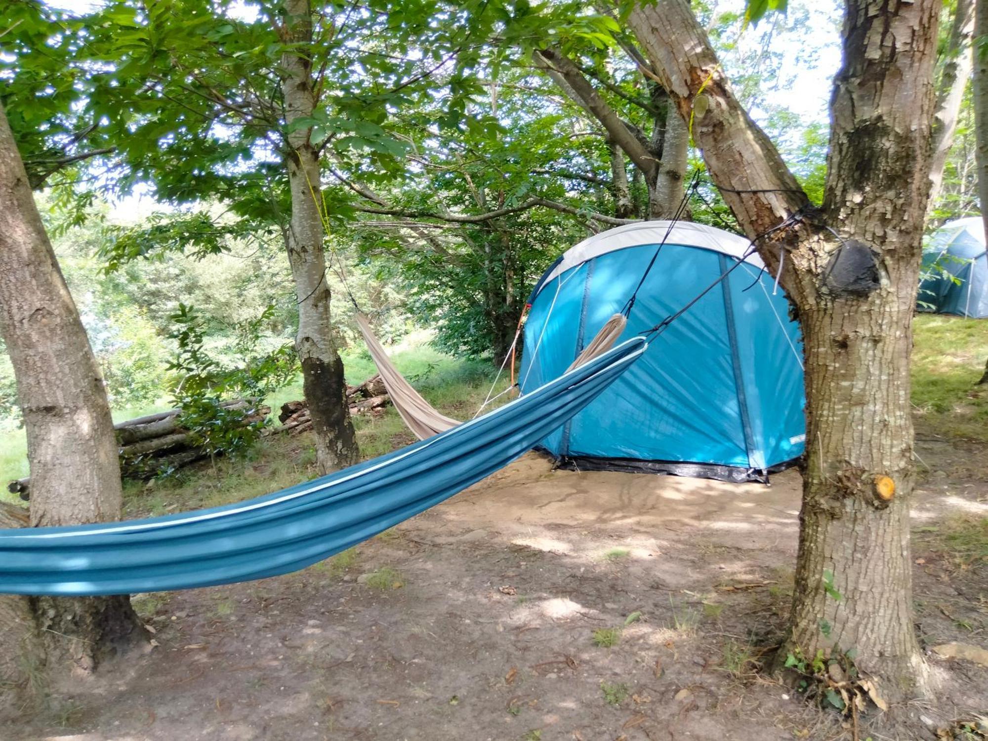 La Finca - Campamento En La Naturaleza Carranceja الغرفة الصورة